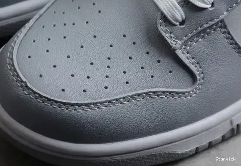 Dunk Tone Two NNike Low DJ6188-001 Grey 0608
